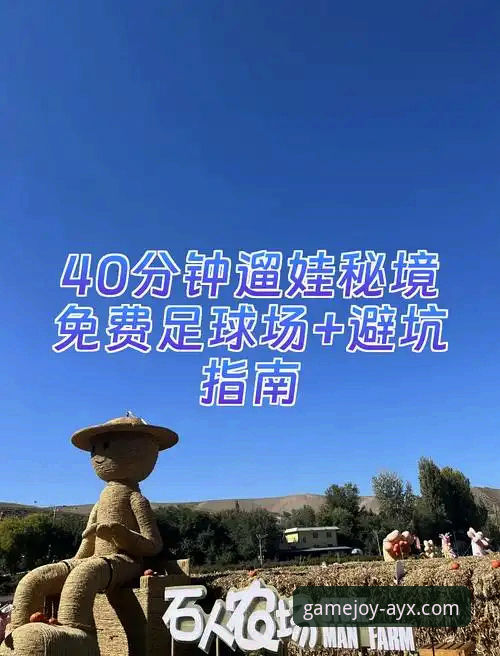 AYX平台安全吗官方下载 资深玩家亲测分享:AYX平台安全吗官方下载实战经验与避坑指南